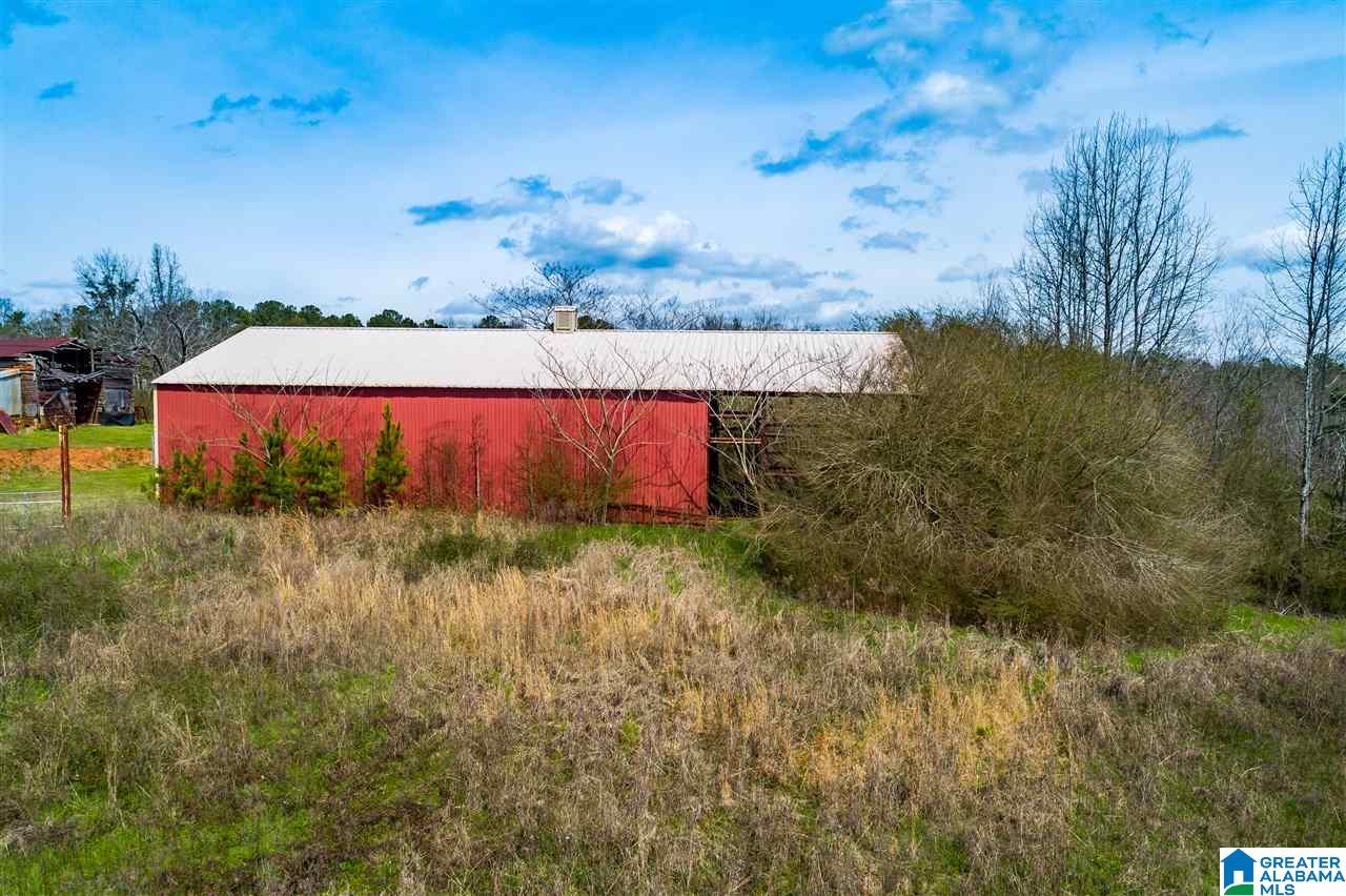 4199 Cowpens Road Alexander City, AL 35010 - Photo 5 of 50
