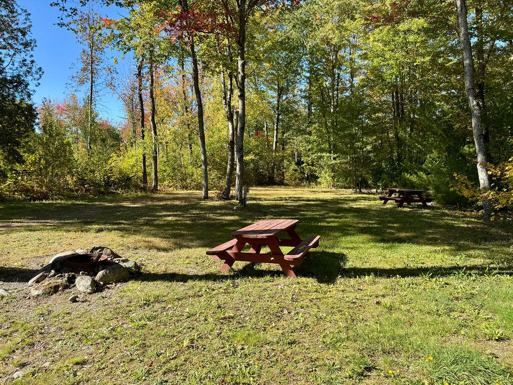 Map3-lot38b Main Road Passadumkeag, ME 04475 - Photo 42 of 51 IMG_8379