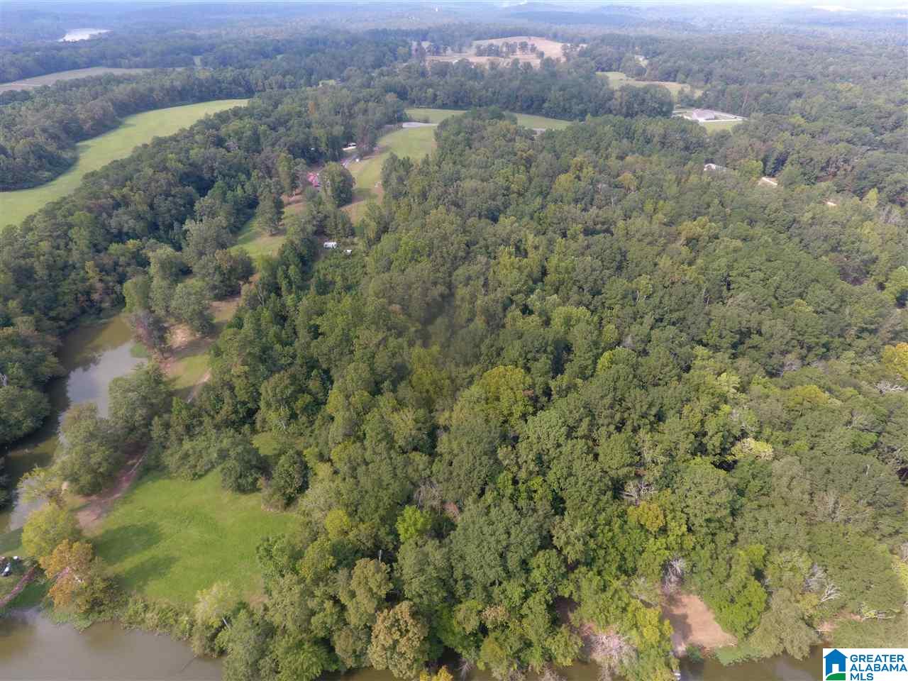 0 Brooks Road Ragland, AL 35131 - Photo 44 of 49