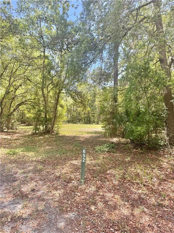 652 Picnic Lane Townsend, GA 31331 - Photo 2 of 5