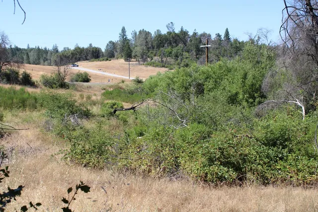 $499,000 | 3600 Lou Allen Lane, Cool, CA 95614