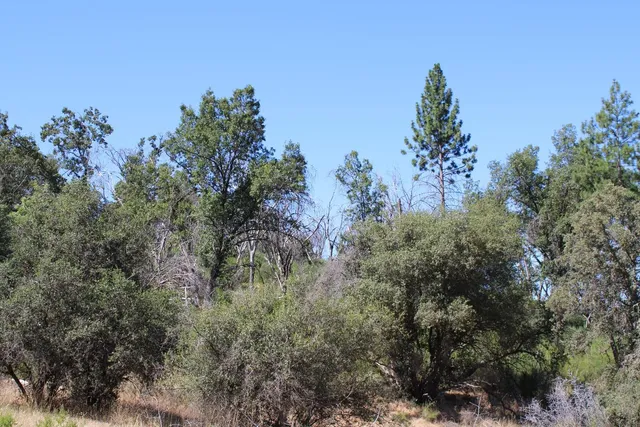 $499,000 | 3600 Lou Allen Lane, Cool, CA 95614