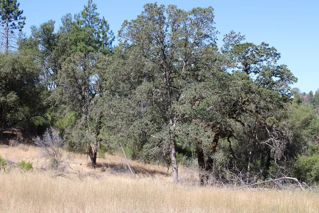 $499,000 | 3600 Lou Allen Lane, Cool, CA 95614