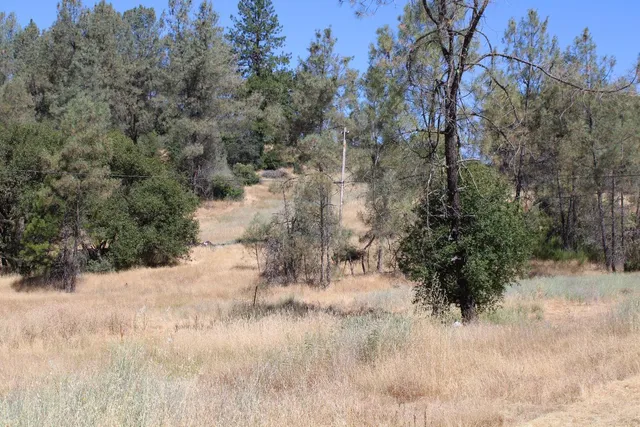 $499,000 | 3600 Lou Allen Lane, Cool, CA 95614