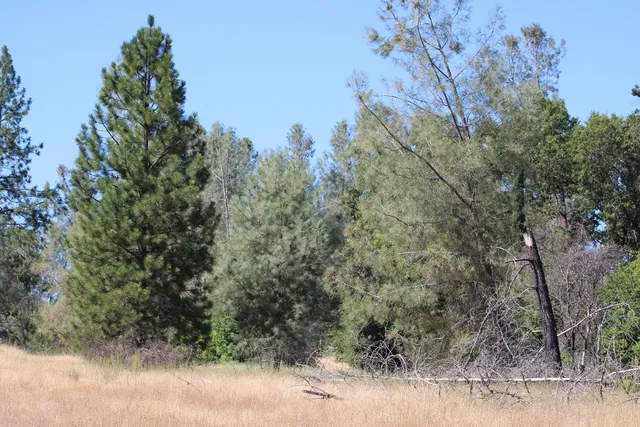 $499,000 | 3600 Lou Allen Lane, Cool, CA 95614