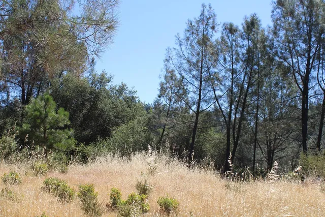 $499,000 | 3600 Lou Allen Lane, Cool, CA 95614