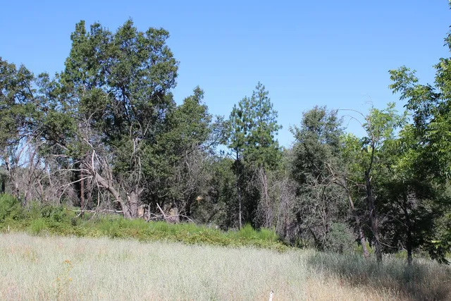 $499,000 | 3600 Lou Allen Lane, Cool, CA 95614