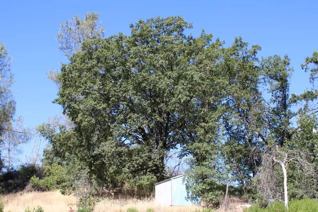 $499,000 | 3600 Lou Allen Lane, Cool, CA 95614