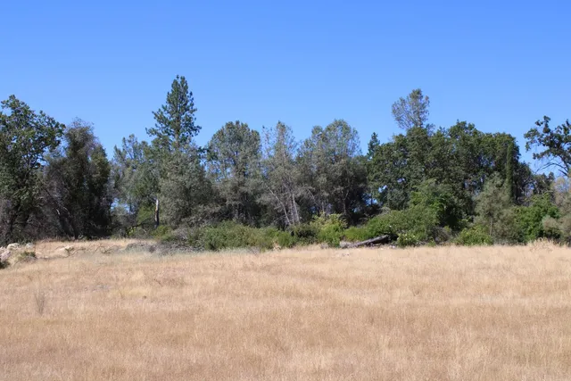 $499,000 | 3600 Lou Allen Lane, Cool, CA 95614