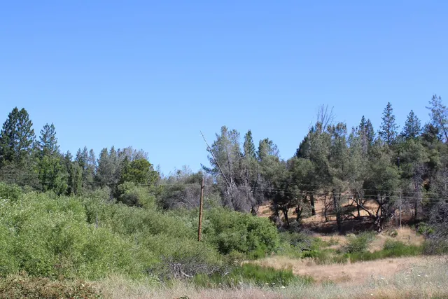 $499,000 | 3600 Lou Allen Lane, Cool, CA 95614