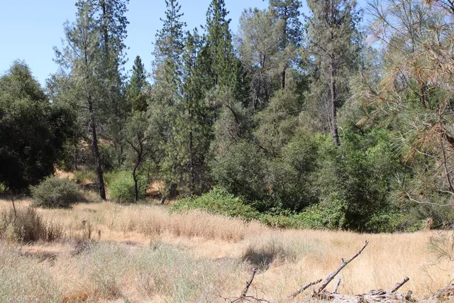 $499,000 | 3600 Lou Allen Lane, Cool, CA 95614