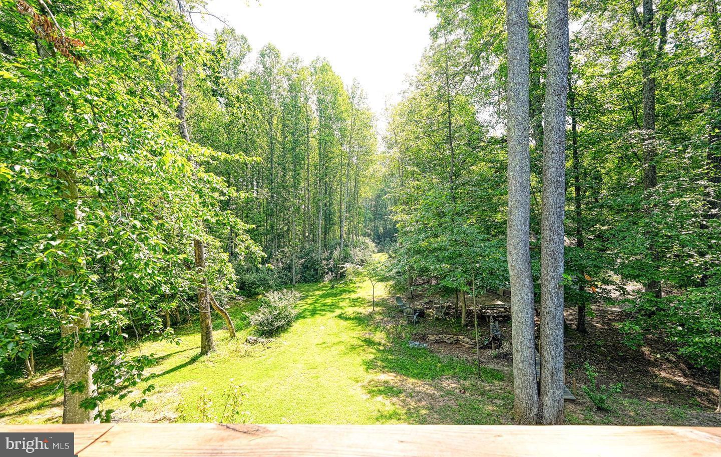 6121 Belmont Road Mineral, VA 23117 - Photo 7 of 32 a view of outdoor space and trees