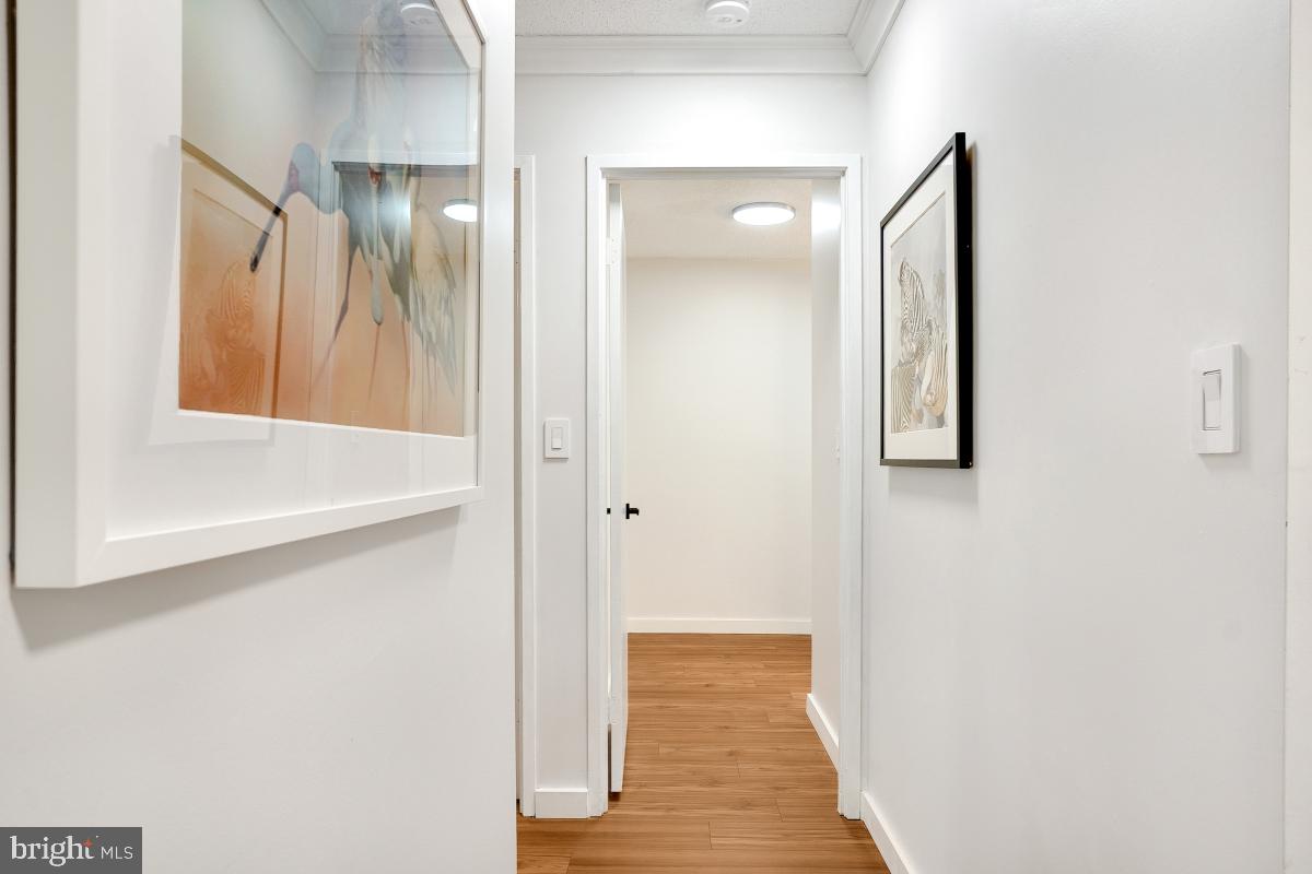 5901 Mt Eagle Drive, Unit 1604 Alexandria, VA 22303 - Photo 22 of 39 Enter Bedroom Hallway