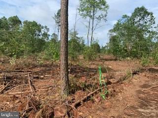Tyler Station Road Beaverdam, VA 23015 - Photo 3 of 6