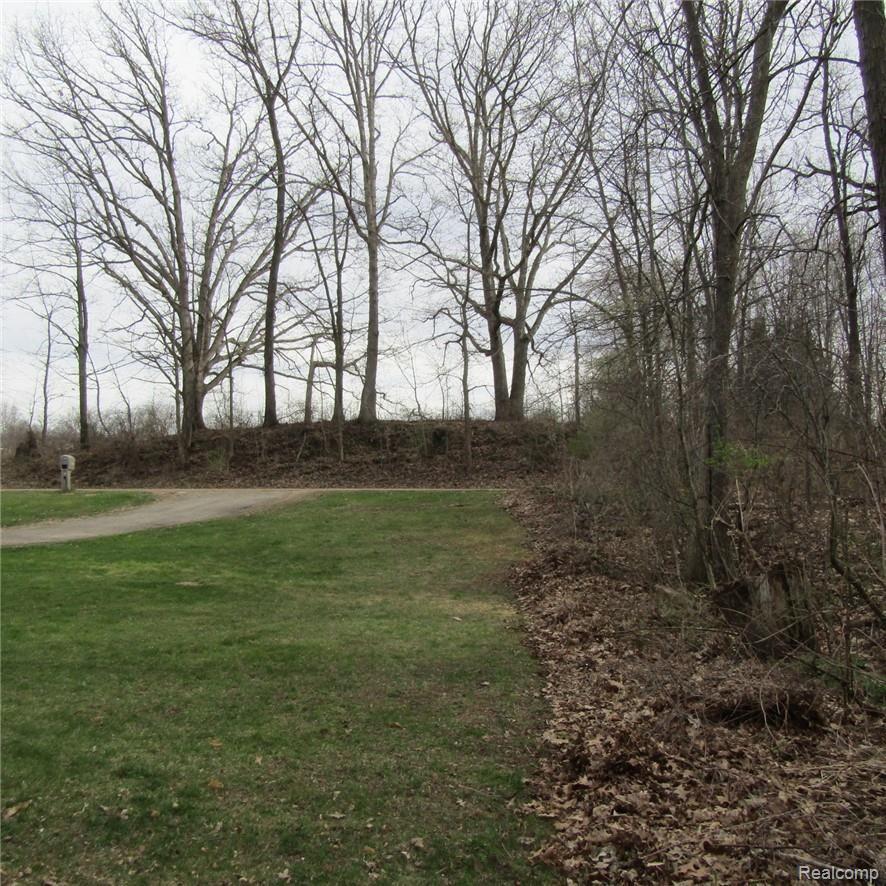8240 West Lange Road Fowlerville, MI 48836 - Photo 12 of 50 IMG_0483.JPG