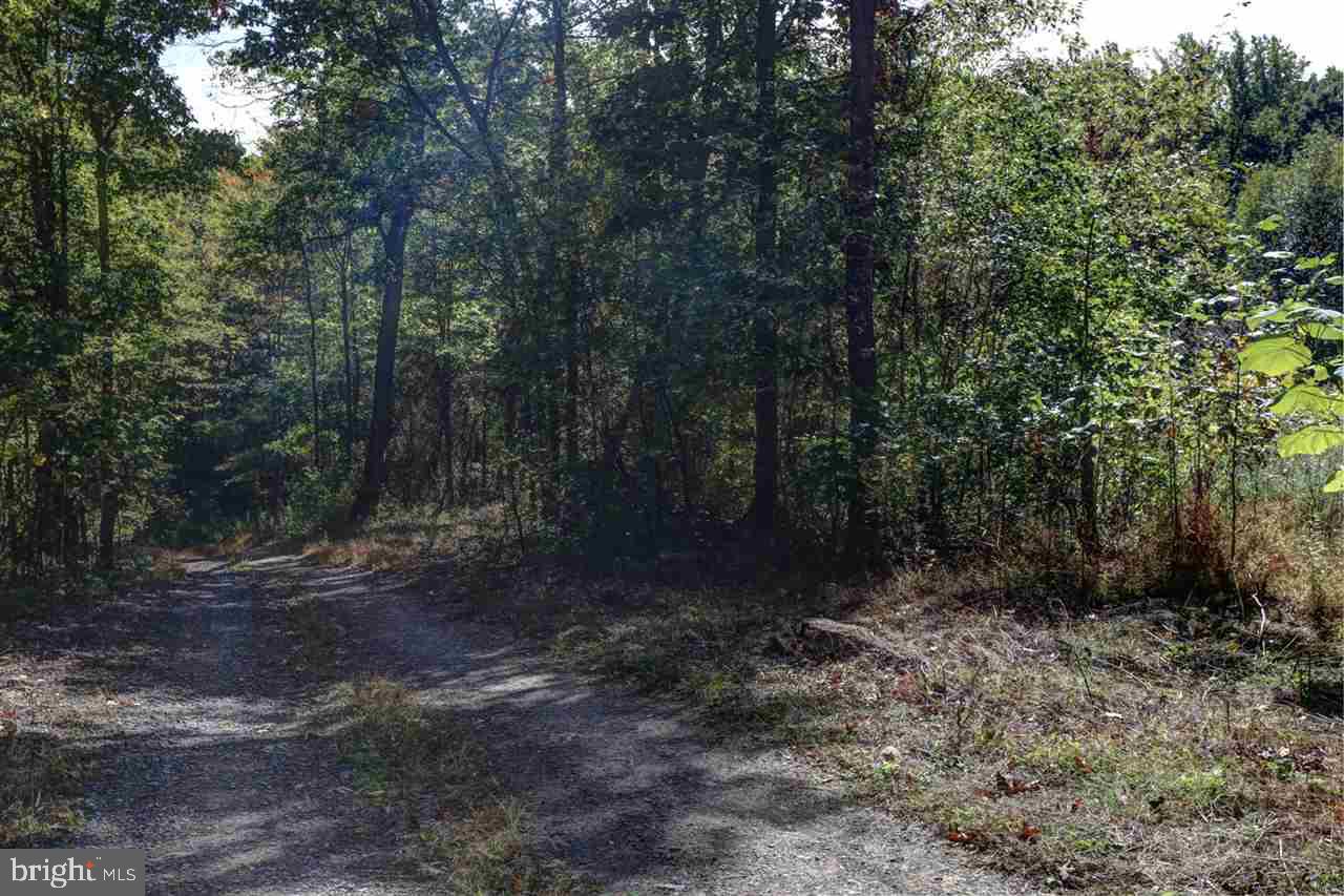 32 Notch Road Duncannon, PA 17020 - Photo 7 of 16 Gallery Image 7