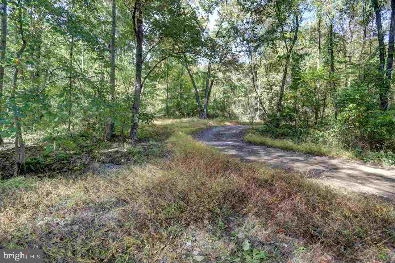 32 Notch Road Duncannon, PA 17020 - Photo 8 of 16 Gallery Image 8