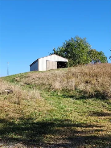 a view of a yard with an trees