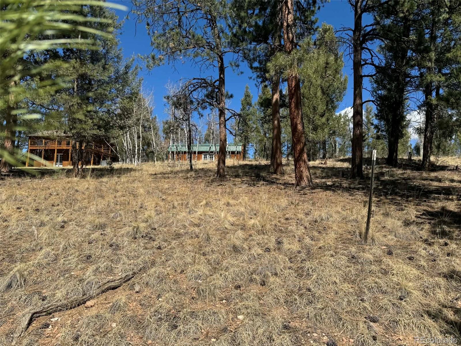33623 Smith Road Pine, CO 80470 - Photo 29 of 47 Gallery Image 29