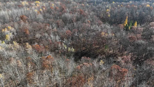 $25,000 | Tbd Grace Lake Road, Hinckley, MN 55037