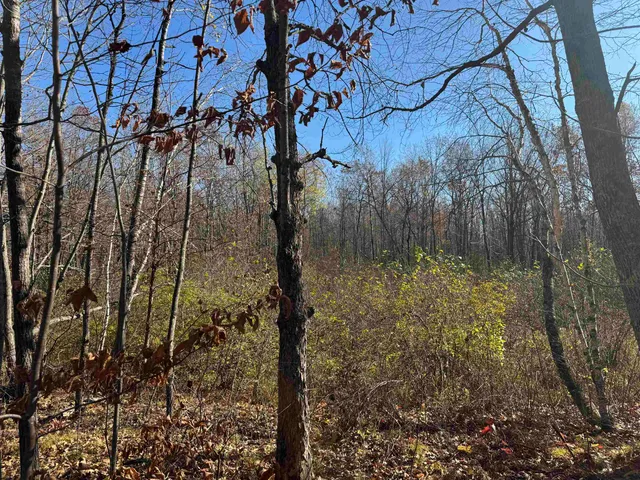 $25,000 | Tbd Grace Lake Road, Hinckley, MN 55037