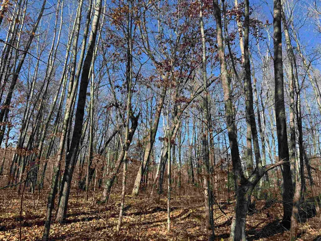 $25,000 | Tbd Grace Lake Road, Hinckley, MN 55037