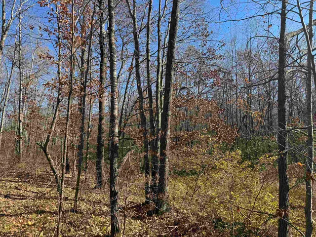 $25,000 | Tbd Grace Lake Road, Hinckley, MN 55037