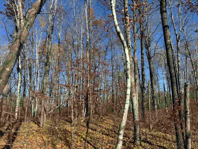 $25,000 | Tbd Grace Lake Road, Hinckley, MN 55037