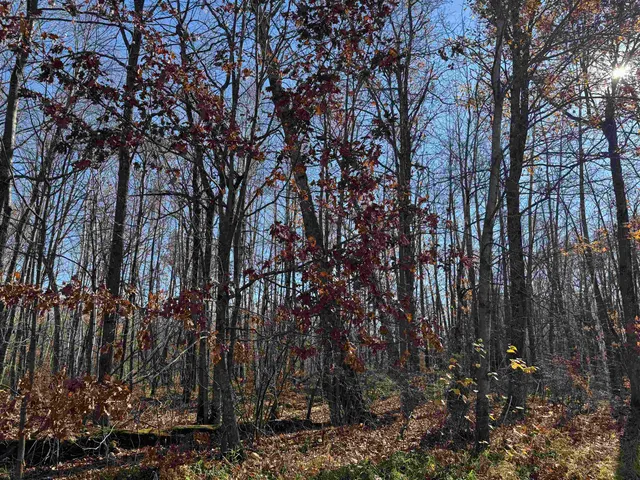 $25,000 | Tbd Grace Lake Road, Hinckley, MN 55037