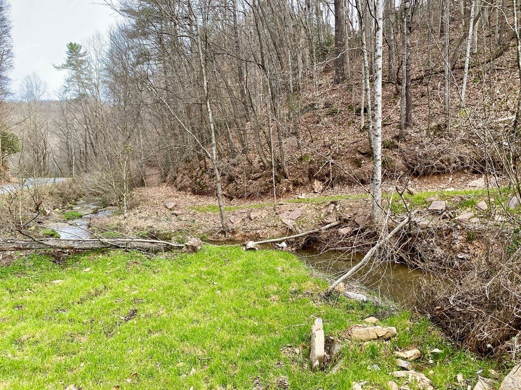 Tbd Jasper Creek Road Bristol, VA 24202 - Photo 7 of 21 Gallery Image 7