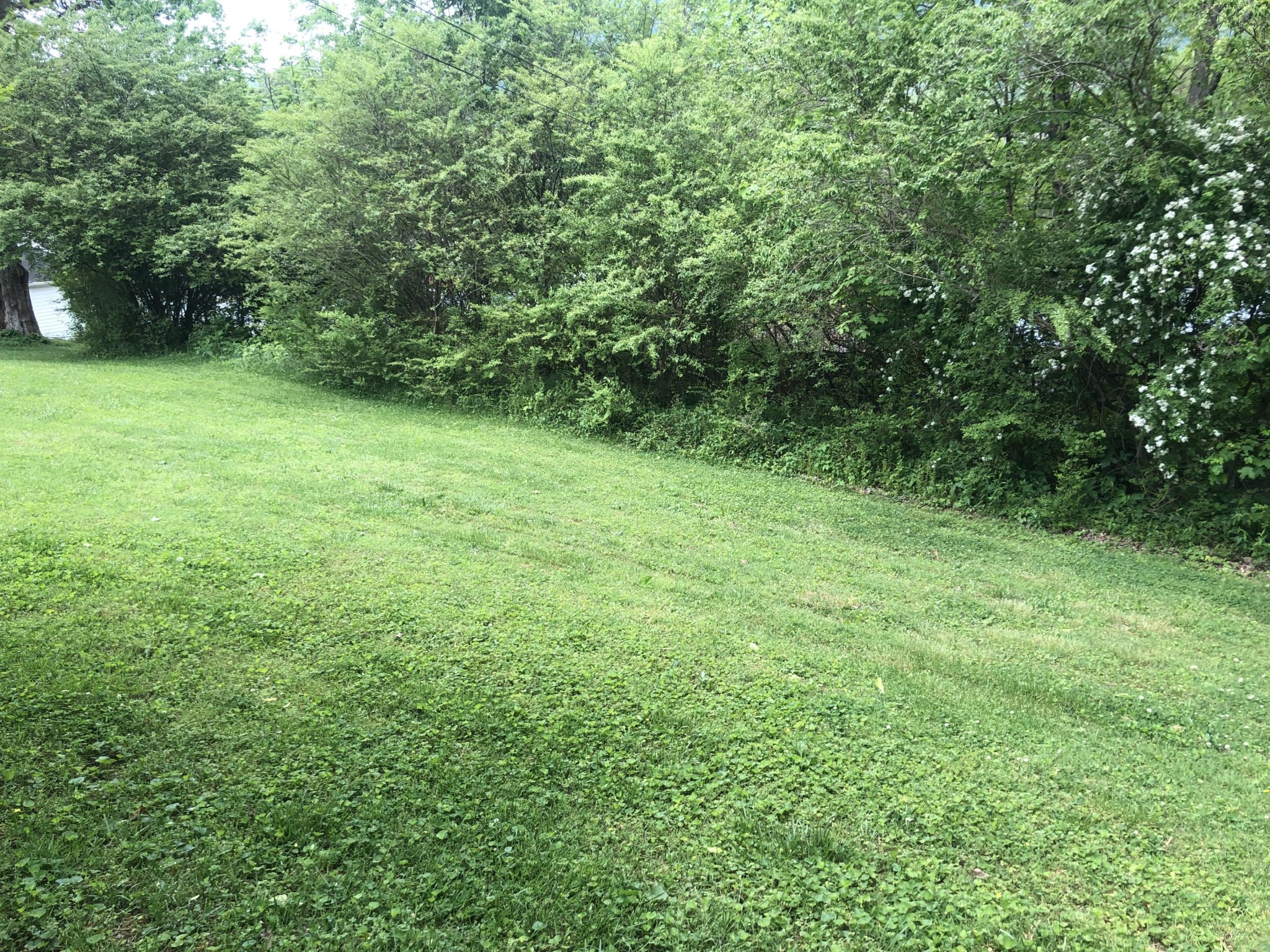 182 Old Coalfield Road Harriman, TN 37748 - Photo 16 of 20 Gallery Image 16