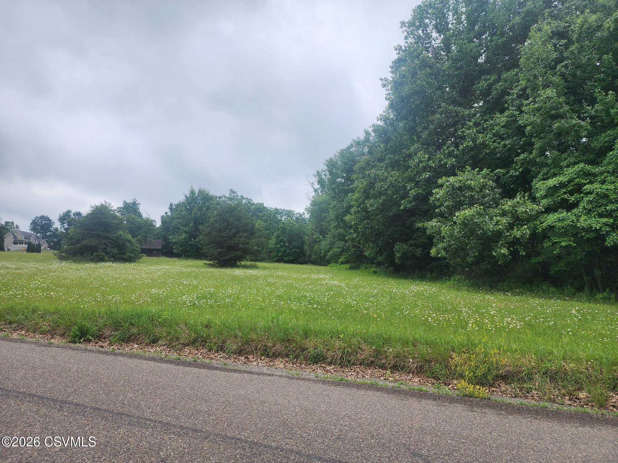 Lot #3 Shamrock Road Paxinos, PA 17860 - Photo 2 of 3 a view of a grassy field with trees in the background