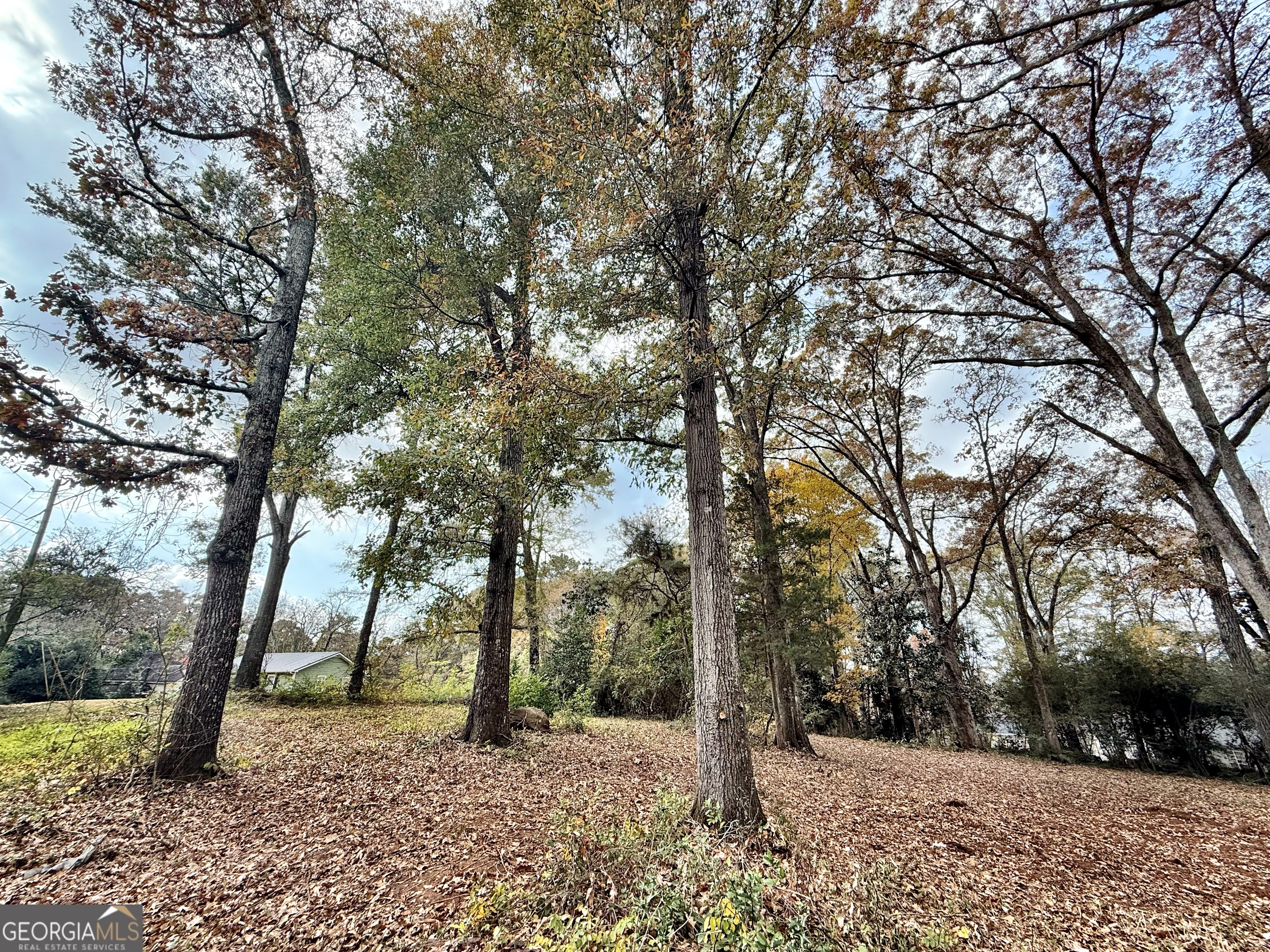 0 South Lee Street Forsyth, GA 31029 - Photo 2 of 5 a view of outdoor space with lots of trees