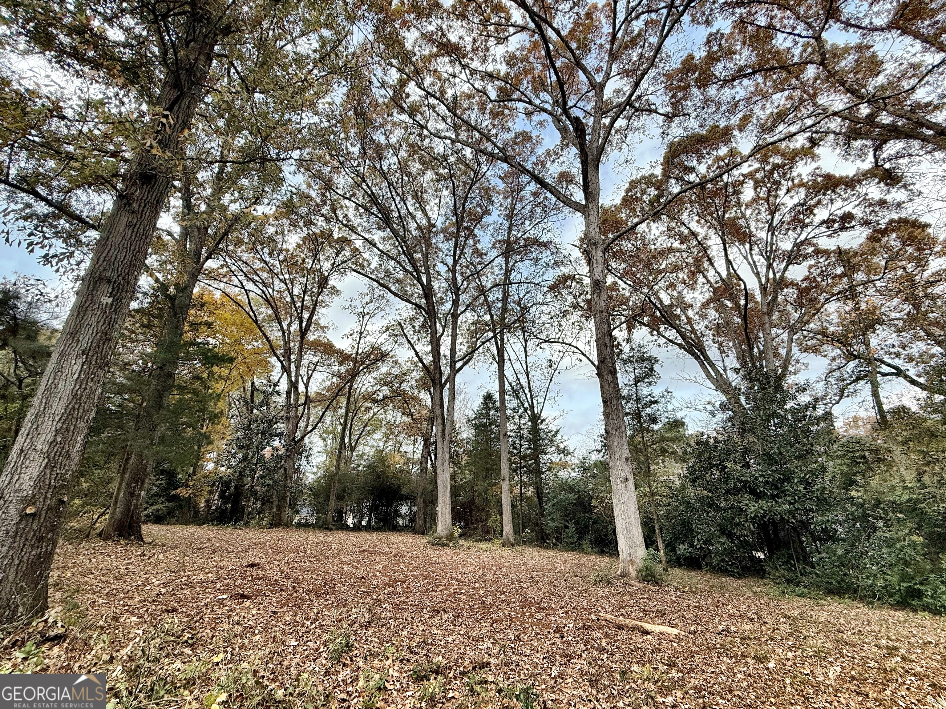 0 South Lee Street Forsyth, GA 31029 - Photo 3 of 5 a view of outdoor space with trees