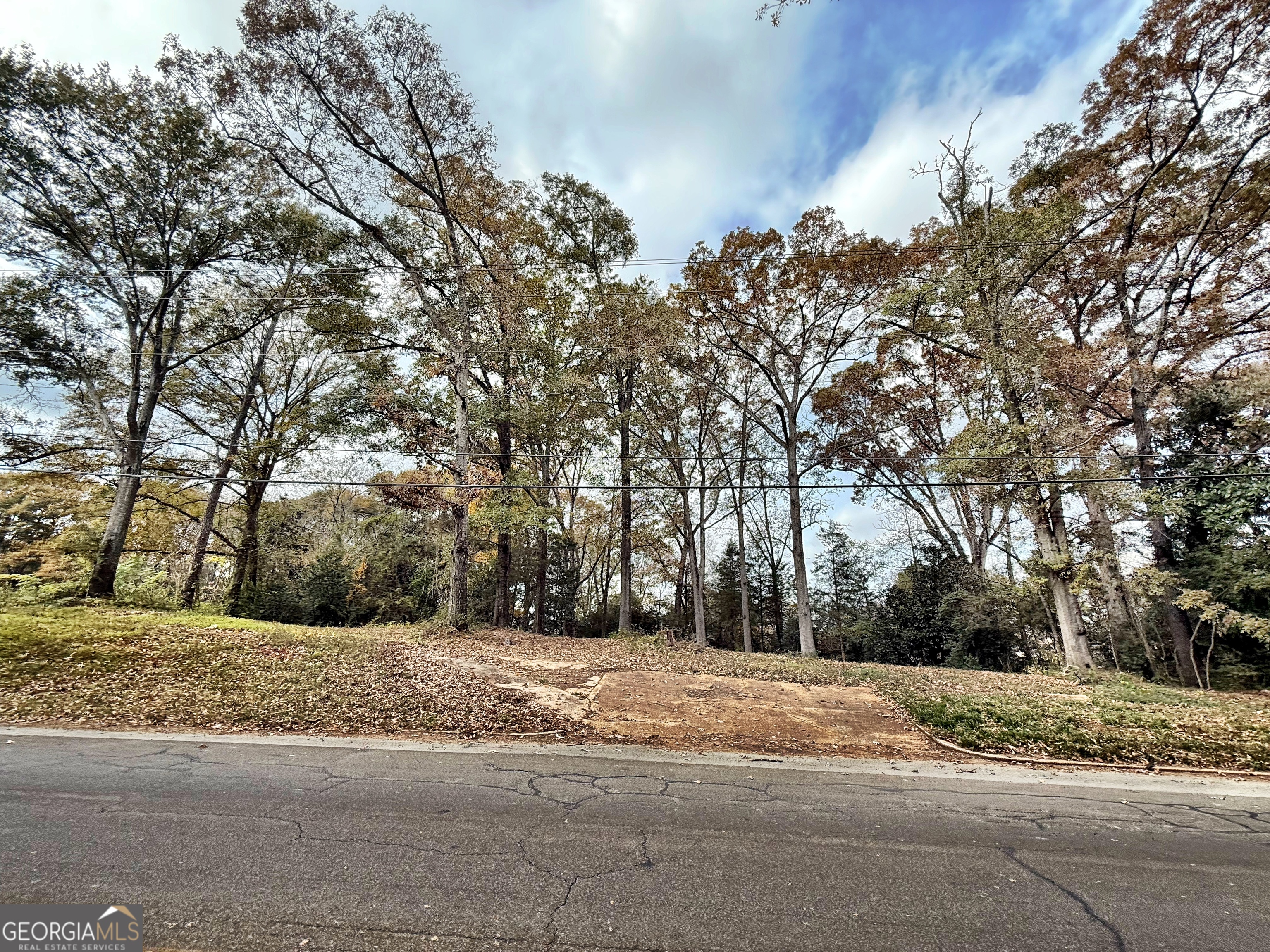 0 South Lee Street Forsyth, GA 31029 - Photo 5 of 5 a view of road with trees