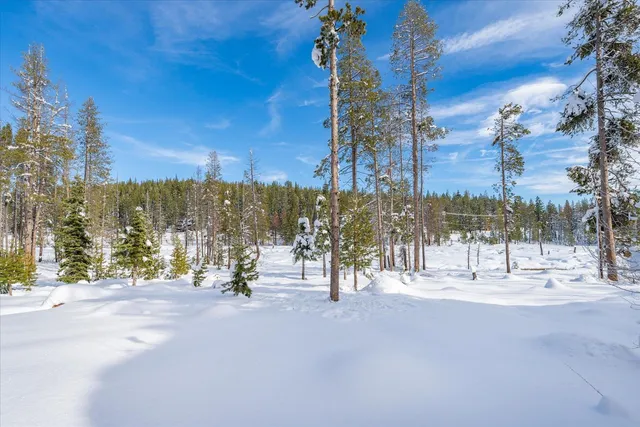 a view of a dining room with furniture a kitchen and chandelier
