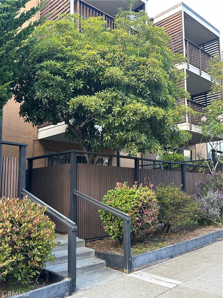 75 Western Shore Lane, Unit 1 San Francisco, CA 94115 - Photo 7 of 17 a view of a garden with a bench