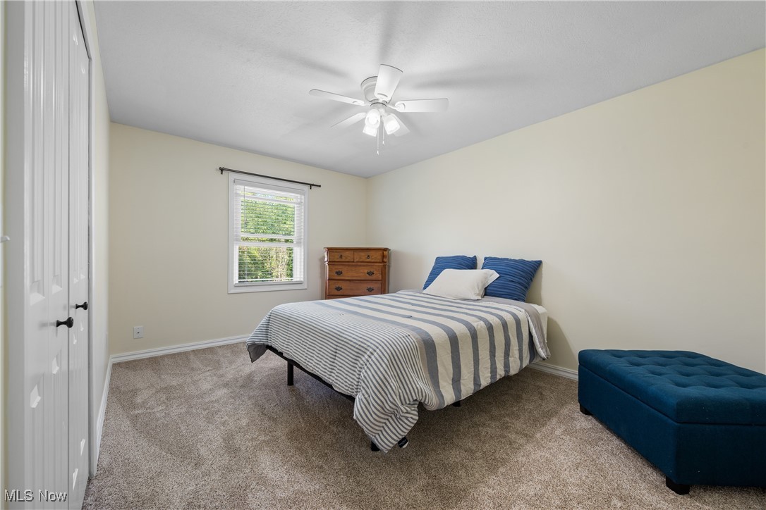 10229 Crawford Road Homerville, OH 44235 - Photo 19 of 42 Bedroom featuring carpet and ceiling fan