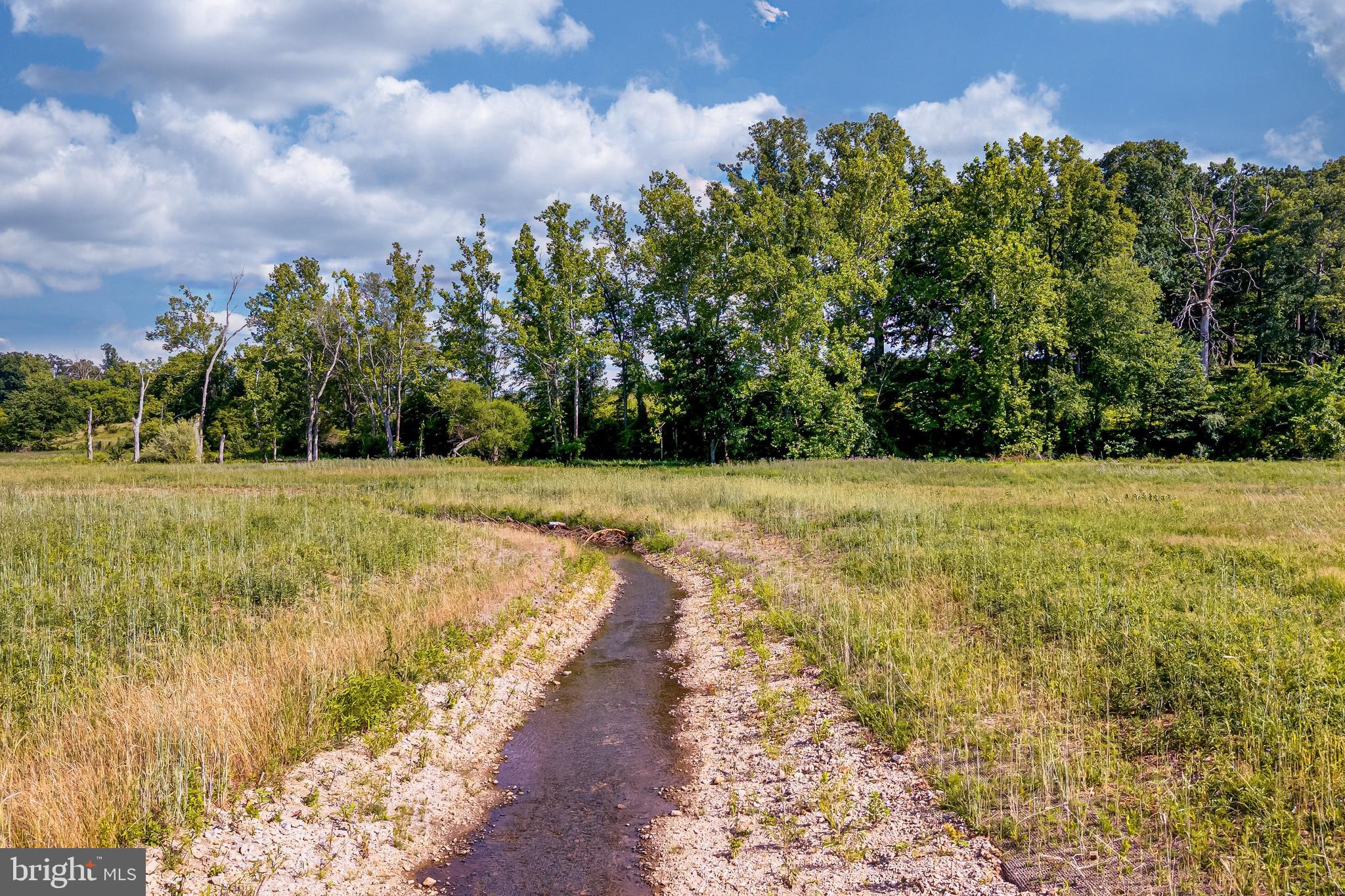 Evergreen Mills Road Leesburg, VA 20175 - Photo 13 of 14