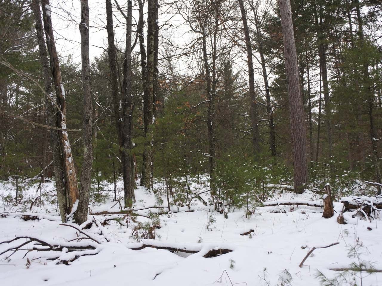 Lot 2 Country Club Road Minocqua, WI 54548 - Photo 4 of 18 Gallery Image 4