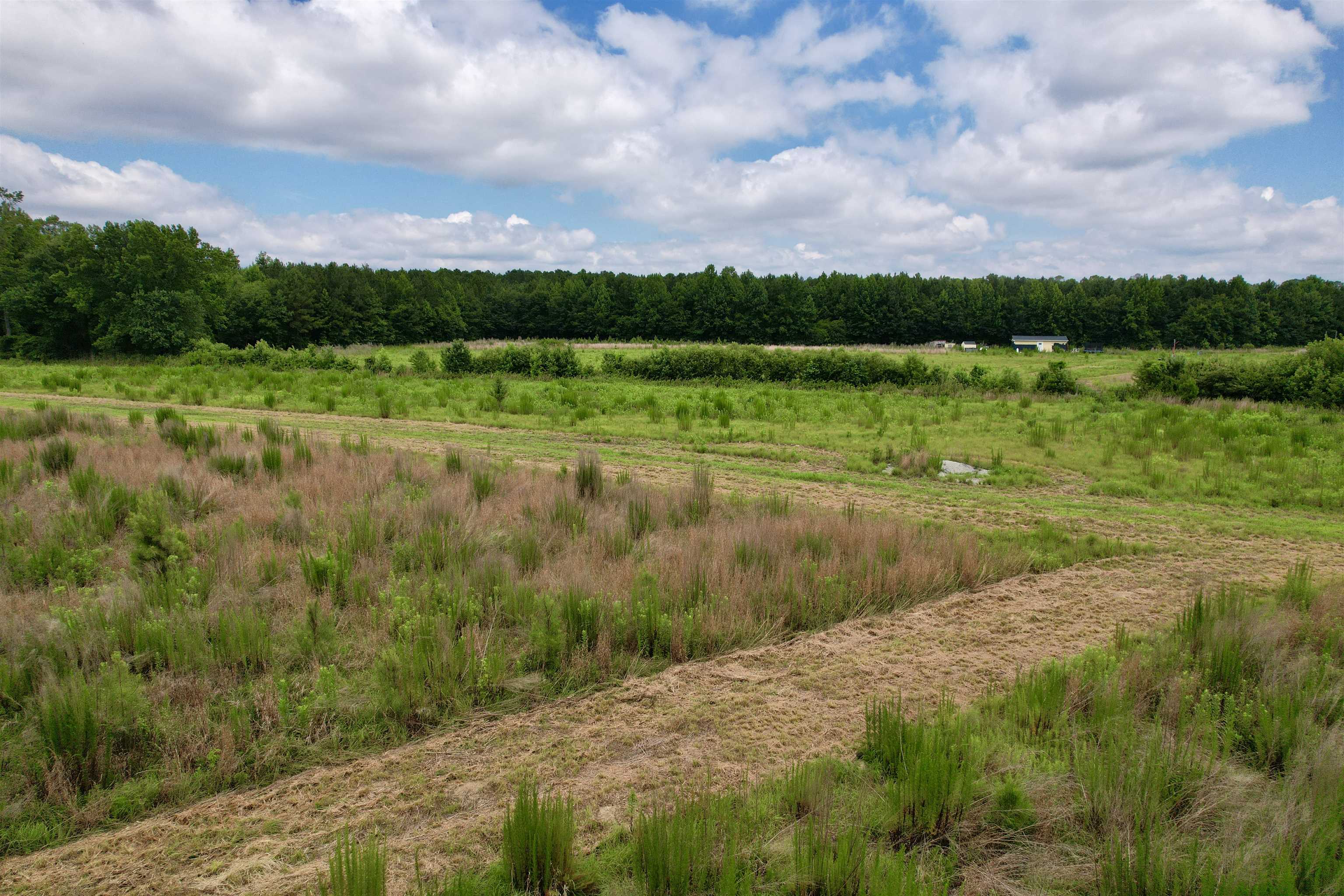 0 Powell Rd Green Green Sea, SC 29545 - Photo 57 of 72