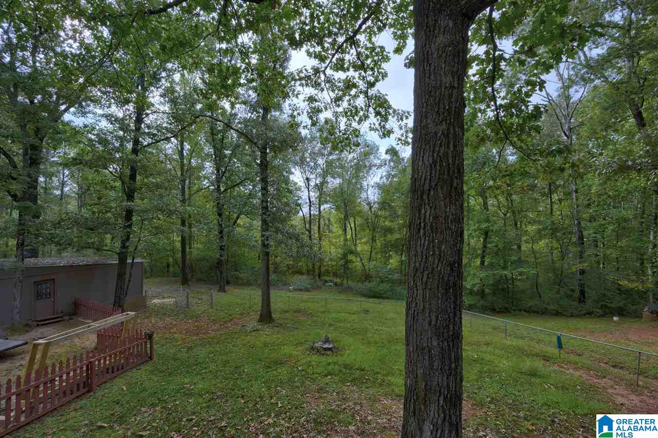 6125 Mountain Ridge Road Trussville, AL 35173 - Photo 10 of 28