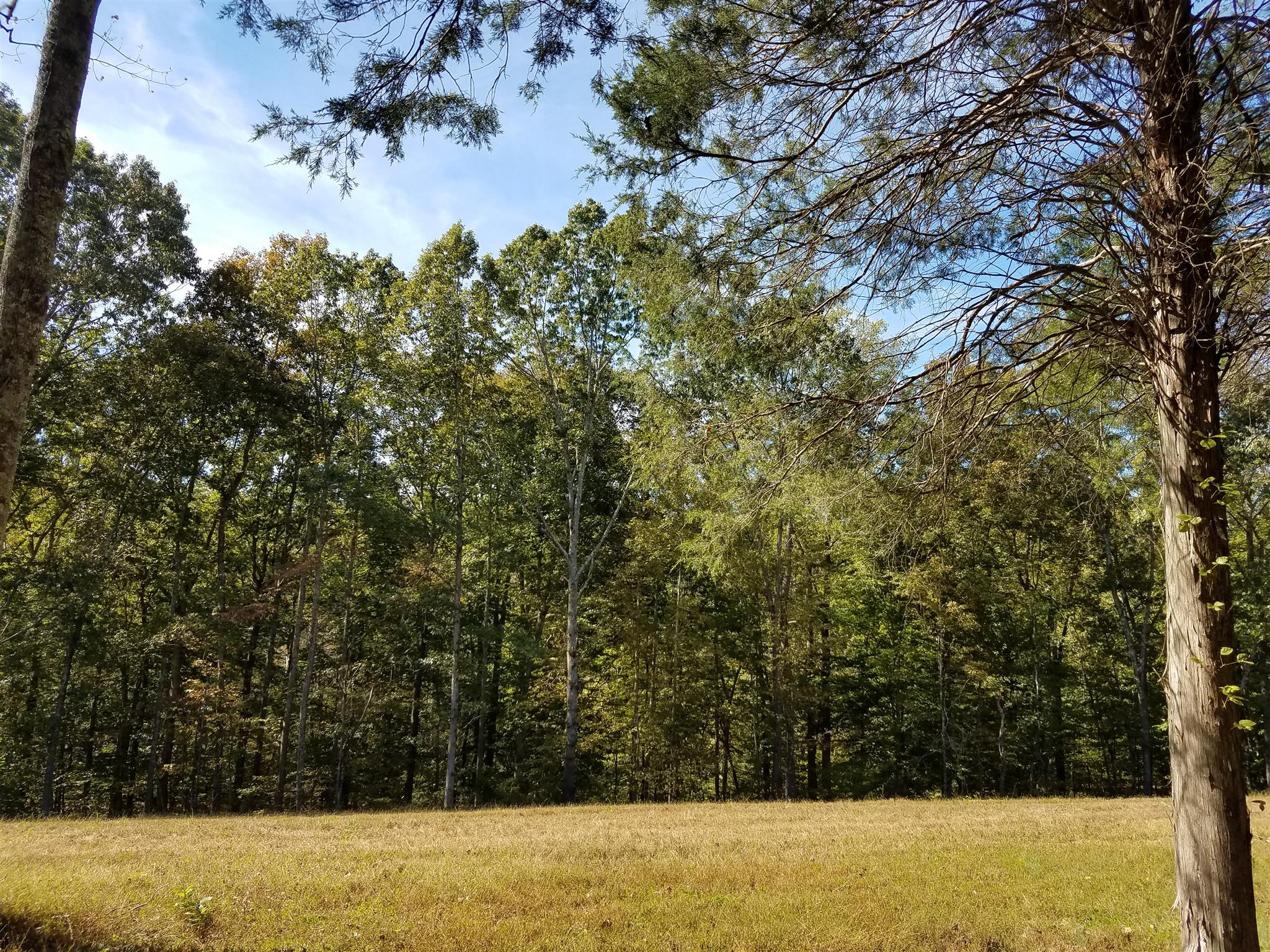 2 Poplar Ridge Primm Springs, TN 38476 - Photo 3 of 6 a view of a field of grass and trees