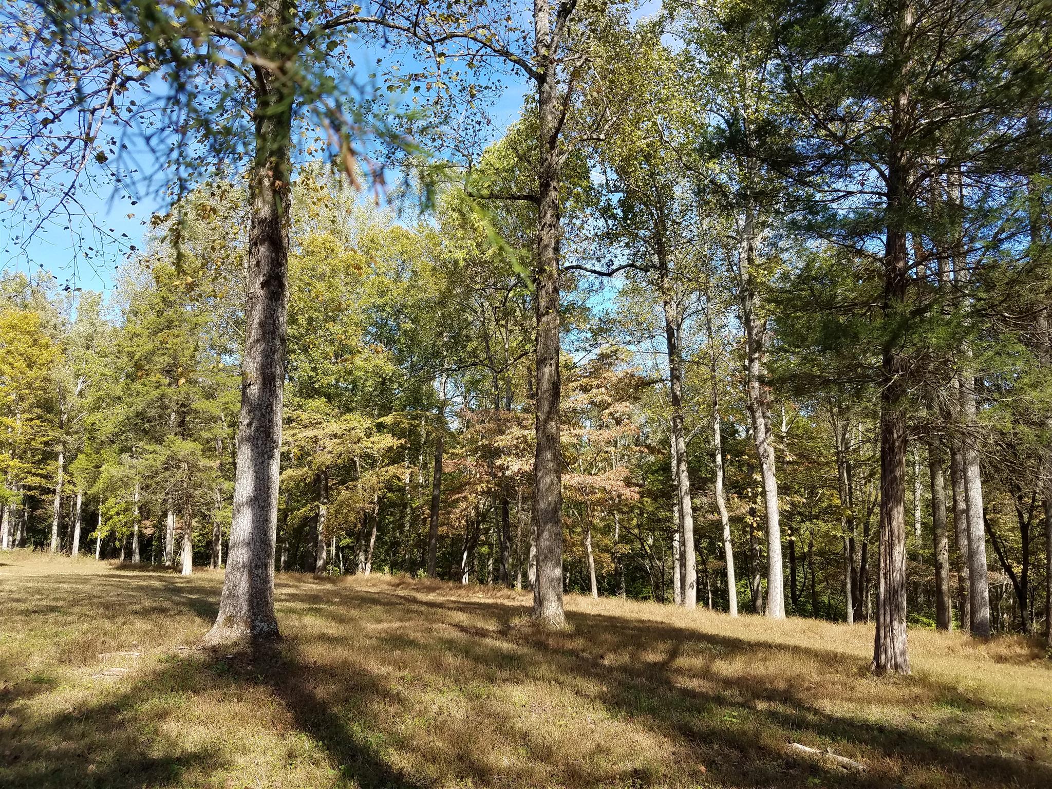 2 Poplar Ridge Primm Springs, TN 38476 - Photo 4 of 6 not sure