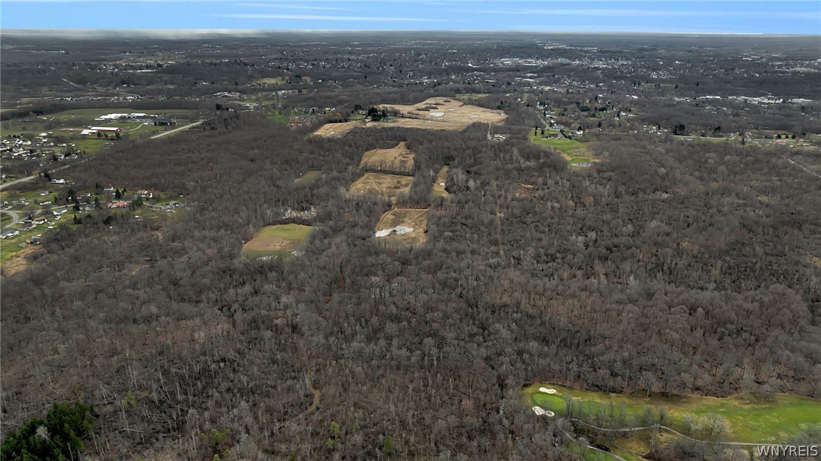 V/l Old Niagara Road Lockport, NY 14094 - Photo 13 of 17