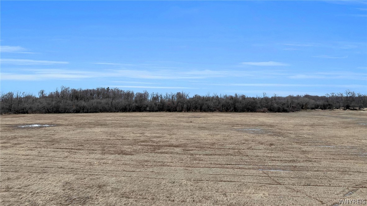 V/l Old Niagara Road Lockport, NY 14094 - Photo 3 of 17