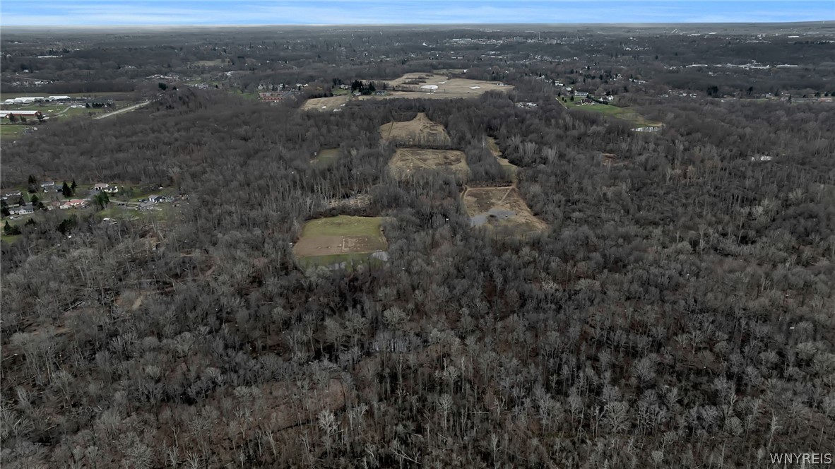 V/l Old Niagara Road Lockport, NY 14094 - Photo 9 of 17