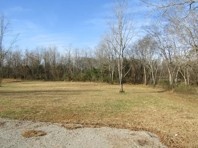 a view of a field with trees in the background