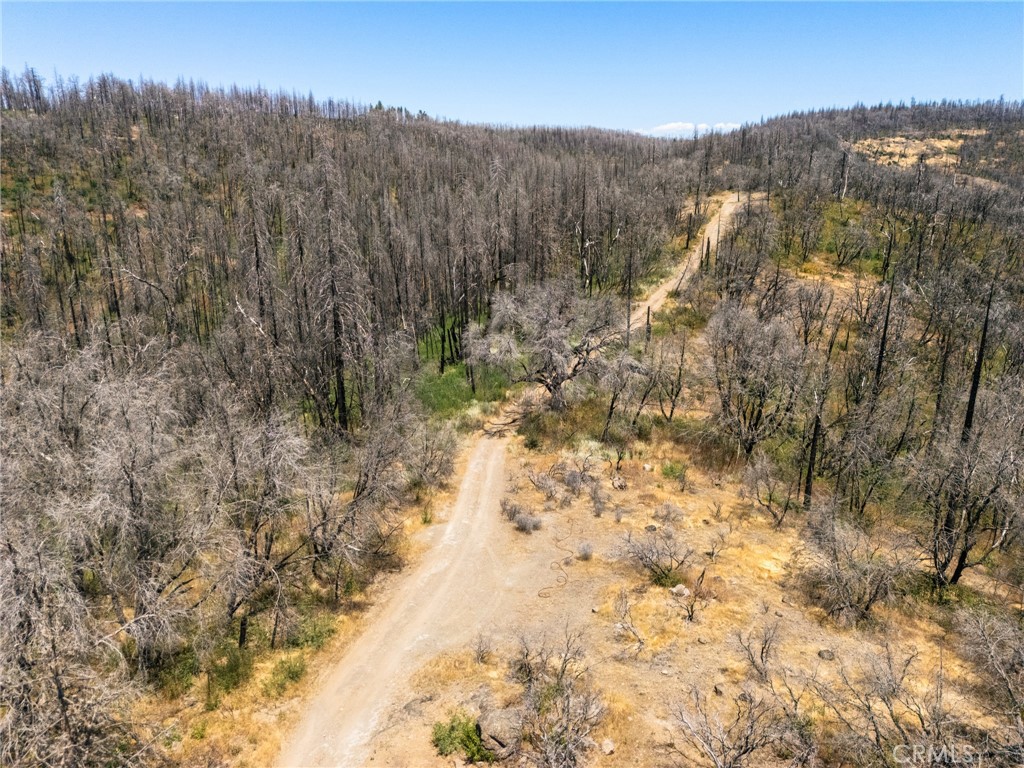 335 Mann And Nolta Ridge Chico, CA 95973 - Photo 10 of 25