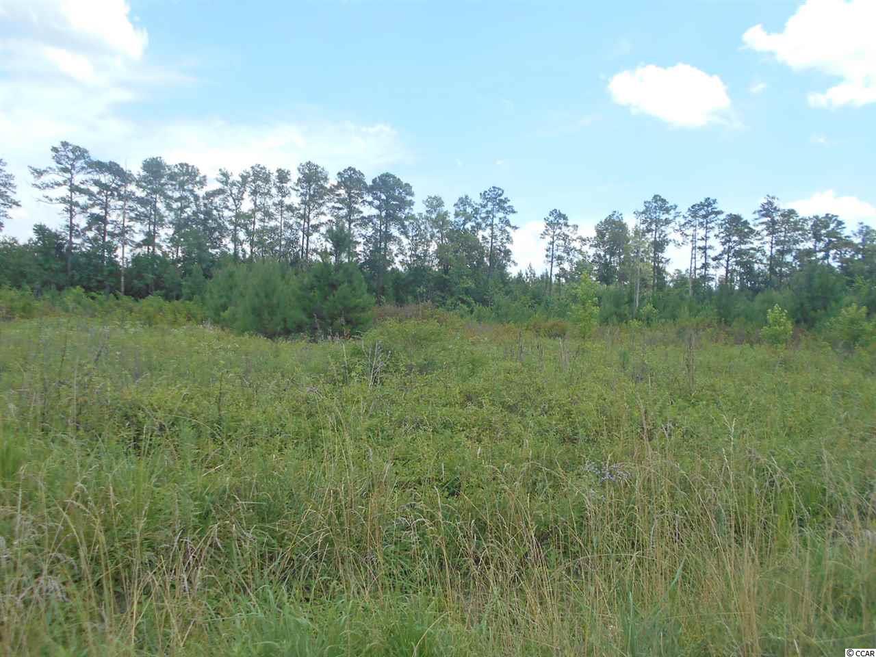 Lot 5 Elbow Road Conway, SC 29527 - Photo 11 of 11 Gallery Image 11